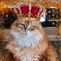 Пертурбация (@pertrubatziya) 's Twitter Profile Photo Пертурбация (@pertrubatziya) 's Twitter Profile Photo