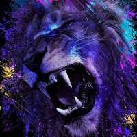 MOHAMED 🇩🇿BM (@belkhirimb) 's Twitter Profile Photo