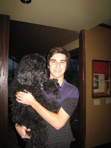 rileyledwon's profile picture. I'm a dog person