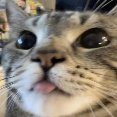 steven57415103's profile picture. hello♡