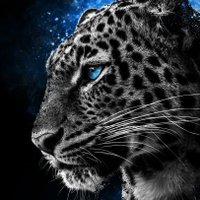 👑Morientez (@morientez1363) 's Twitter Profile