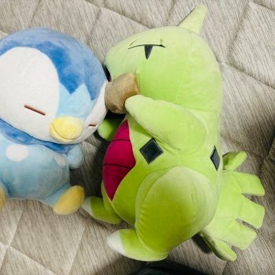 ポケモンGO初心者です 普段は大阪で身内で楽しんでます ヨーギラス推し 無言フォロー大歓迎 フレンド大募集 TL39 赤