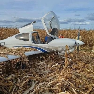 kings8076's profile picture. 