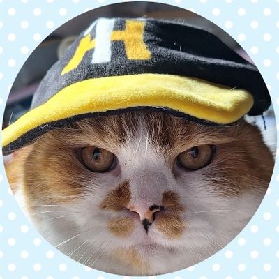 ★にゃんこ好き(*˘︶˘*).。.:*♡★ アニモンダ モンソニ！(公式) on X: 