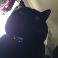 name-coin (@namecoin4) 's Twitter Profile