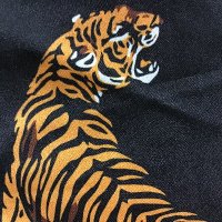 肩乗り猫 (@toliongoooo) Twitter profile photo