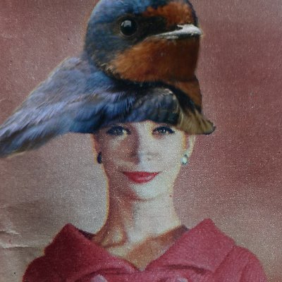 PiaVonKurjala's profile picture. Hoo moilasen kaveri