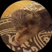 Terry Bunker (@bunker_terry_) Twitter profile photo