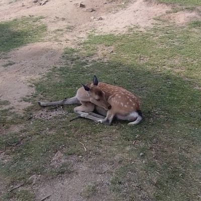 DaiHoran93608's profile picture. 