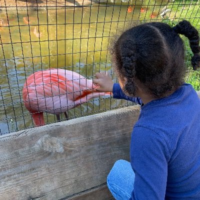 👩🏾Xennial J-school & Law Grad. Vet’s Wife. Mom to Gen Z & Alpha “Coronial.”
🚩actively disliking Meghan Sussex & non-voters
💚🤍🦅
♥️🖤🐔
I said what I said