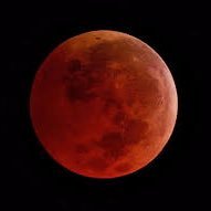 David Neil Drews (@drewsneil1) 's Twitter Profile Photo