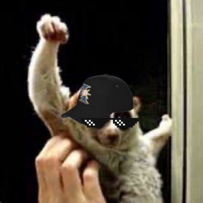 zsa6_7 Profile Picture