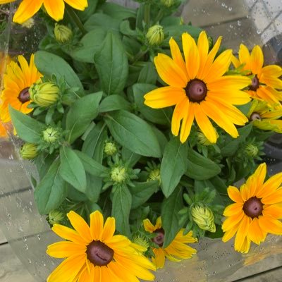 Helle_1963's profile picture. 