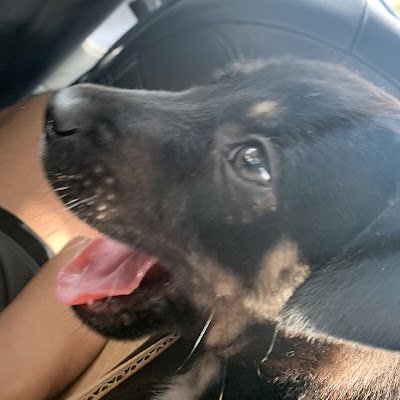 AzariousC92759's profile picture. 