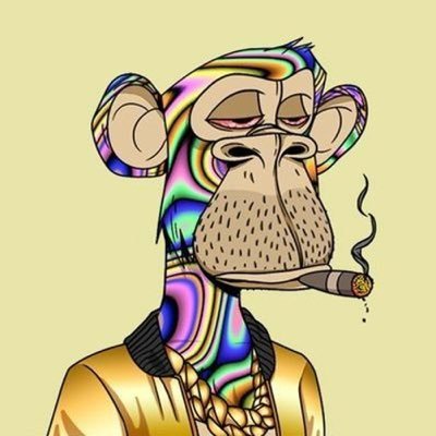 BullrunShroom's profile picture. 