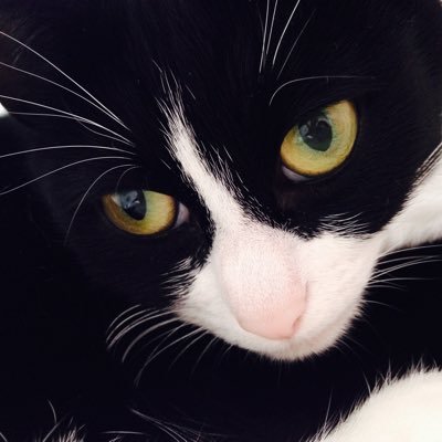 billysmithorman's profile picture. big advocate of, you never know what someone else is going through, so don’t be a fucking dick
