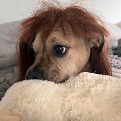 KimerieG's profile picture. She/her