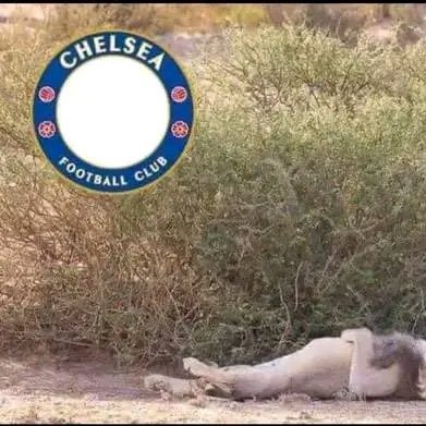 apkorie's profile picture. a