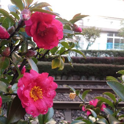 E129_1000's profile picture. フォローよろしくお願いします。