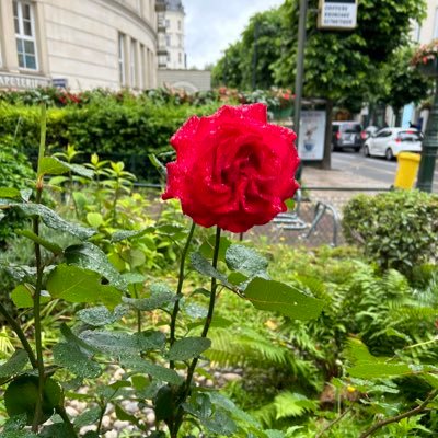 caditadejesus's profile picture. 