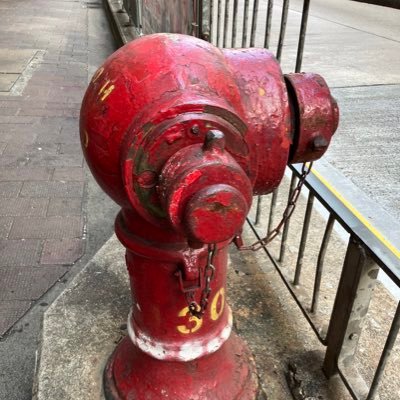 mamaleeMS's profile picture. Anywhere,everywhere.