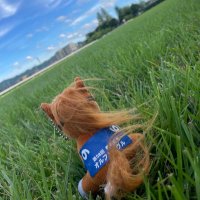 ふーた🍀 (@huta_inorimachi) 's Twitter Profile Photo ふーた🍀 (@huta_inorimachi) 's Twitter Profile Photo