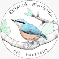 EB Montseny - ICO (@ebmontseny_ico) 's Twitter Profile Photo