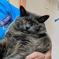 Kais Tlili (@ktl_____) 's Twitter Profile