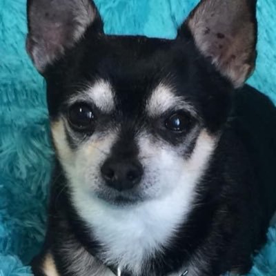 KelleVick's profile picture. It’s all about the moments🌺