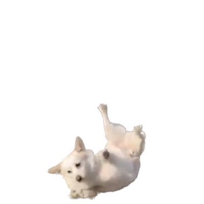 まさんのプロフィール画像