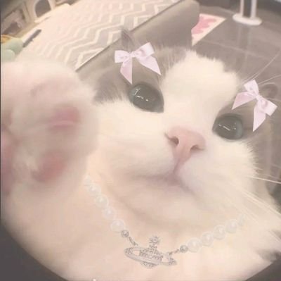 🪷♡⁺◟(●˙▾˙●)◞⁺♡❥🪷
~the person who made the template of my carrd is strxwbwerry from tumblr~