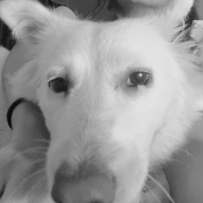 saladfngrs's profile picture. crunchy water