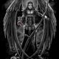 Kaiser Law (@kaiserlaw1) 's Twitter Profile