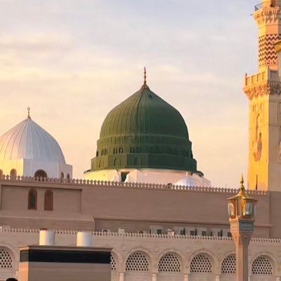 _amaal81's profile picture. ليس أملًا إنّما الآمال 🤍🌱| يارب في القلبِ آمالٌ مُعلقةٌ أنتَ الكريمُ فحقّق كُلّ آمالي| اللهم اجعل القرآن أنيسي وونيسي واجعله شفيعًا لي يوم القيامة🌼