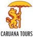 caruanatours's profile picture. We are company specializing in the performance of tours and excursions mainly in Prague, with options to other destinations in the Czech Republic.