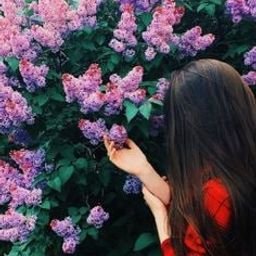 Shueler1LKFv's profile picture. 