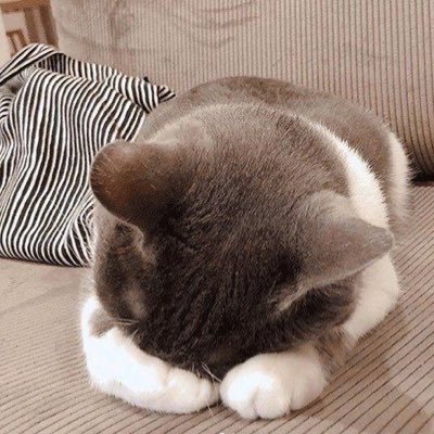 fallinforyu_'s profile picture. 