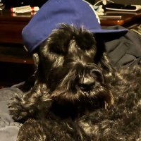 Practically Perfect (@supert27) 's Twitter Profile
