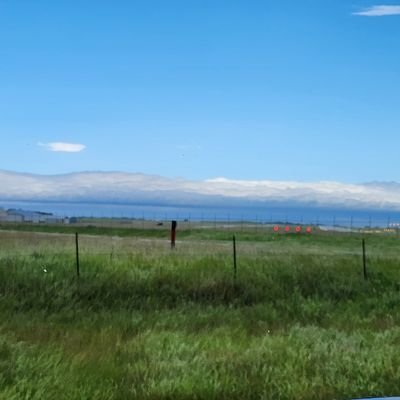 SweetP13106103's profile picture. BORN AND RAISED IN AMERICA ! 
If you Don't Love This Country, Get The FUCK OUT !
  No DMs !