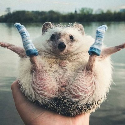 acertainmhamma's profile picture. 
