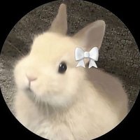 ゆき (@zxcz9705) 's Twitter Profile