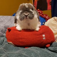 TimZeke'sDad (@timmerzune) 's Twitter Profile
