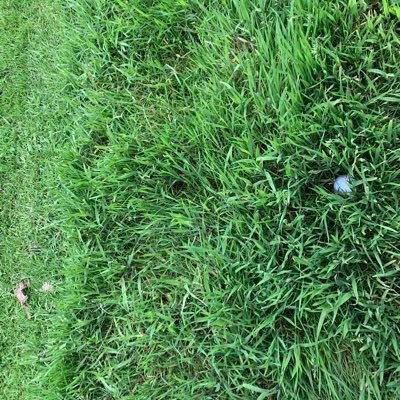 Burkey1974's profile picture. 