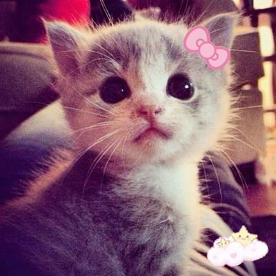 cintyasalsabell's profile picture. .