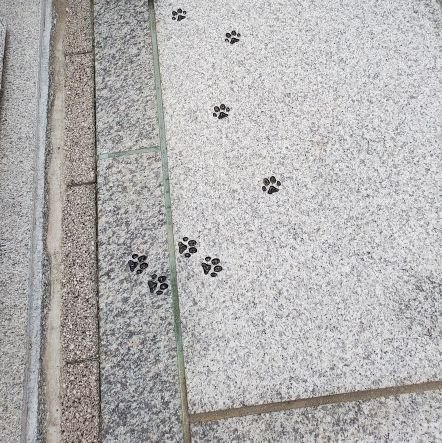 pWQJ43sIJ999225's profile picture. 