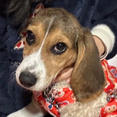 FASSさんのプロフィール画像