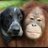 daverice1229's profile image