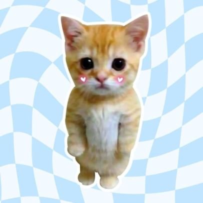 yeobooohh's profile picture. 