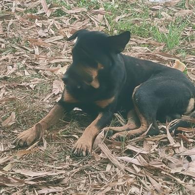 toptap253's profile picture. 