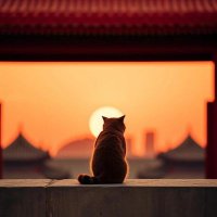 淄博夫妻交友 (@ziboliangmin) 's Twitter Profile